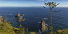Cathedral Rock - Norfolk Island - NSW T (PBH4 00 12353)